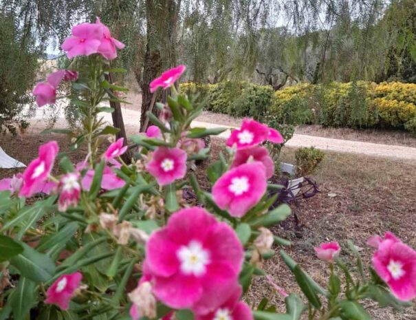 casalbordino-casa-di-matilde